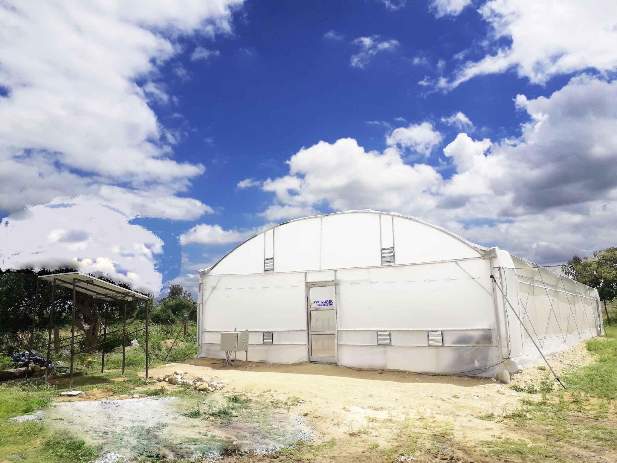 Solar Dryer